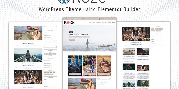 обзор wordpress темы roze