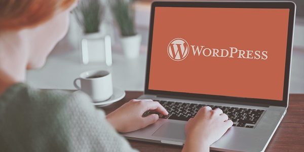 wpcustom_225 10 бесплатных тем wordpress