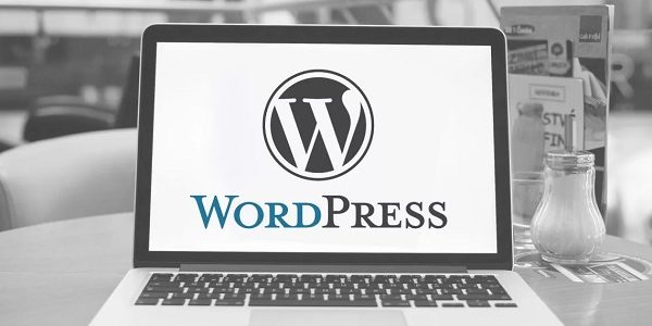 wpcustom_254 топ-9 шаблонов новинок wordpress 2021 года