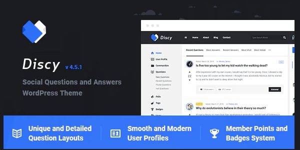 wpcustom_307 обзор wordpress темы discy