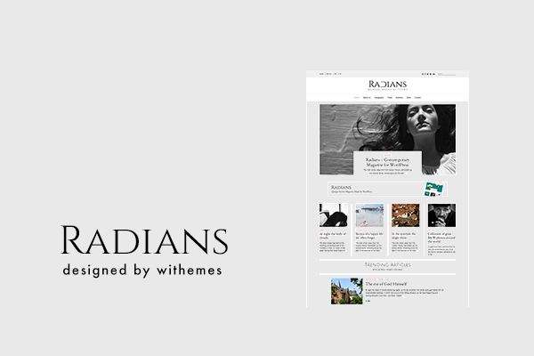 wpcustom_325 WordPress тема Radians - интернет-магазин на волне модернизма
